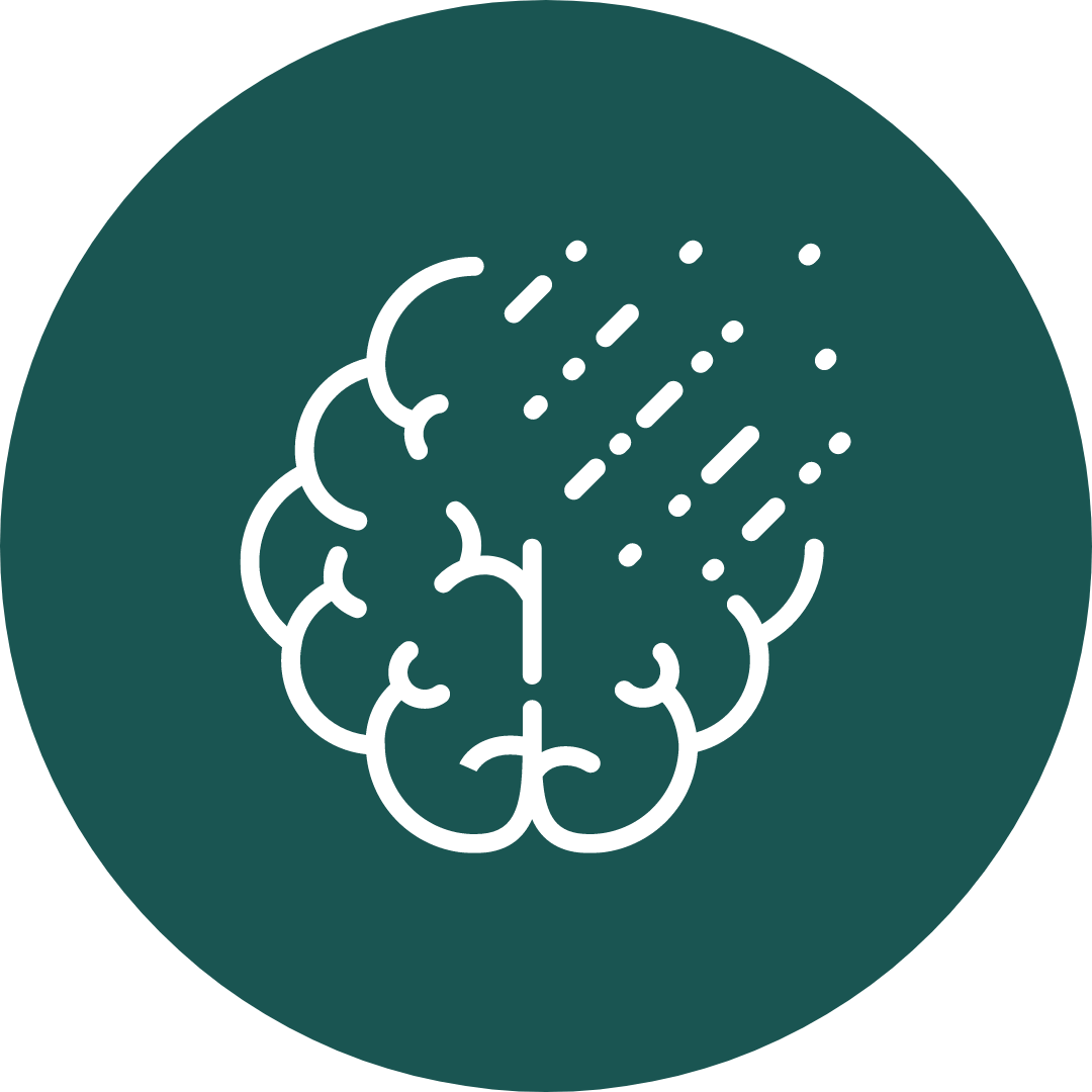 Brain icon