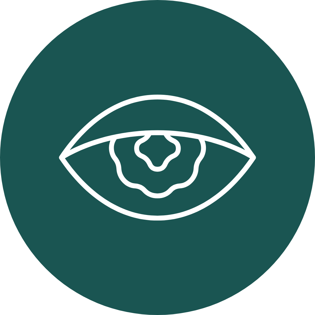 Eye icon